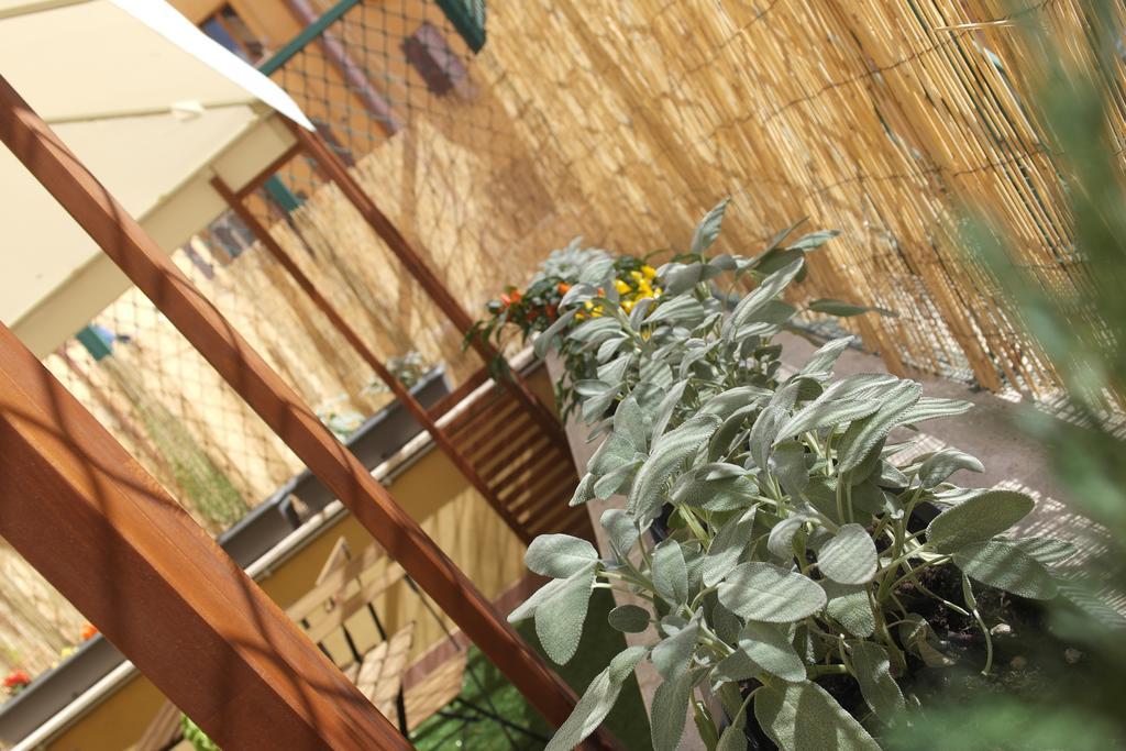Acomodação com café da manhã  Candia Green House B&B
